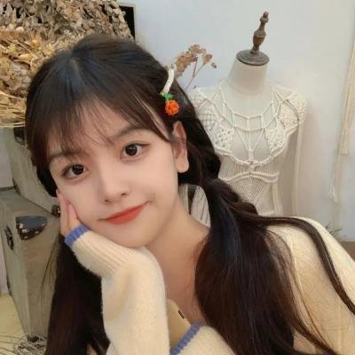 大鸟和小鸟在线观看